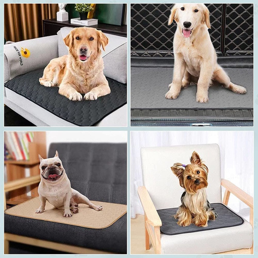 Dog Training Pad Washable Pet Pee Mat Super Absorbent Non-Slip Puppy Crate Mat Reusable Incontinence Pads for Dogs Cats