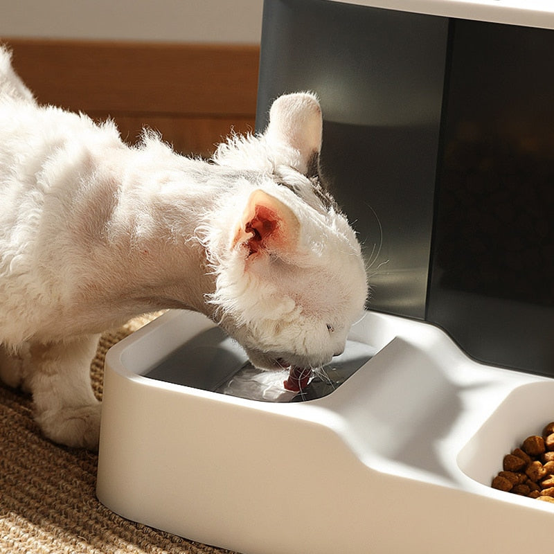 2 In 1 Large Capacity Cat Automatic Feeder with Food Storage Box Pet Cats Drinking Bowl Auto Water Dispenser Cats Supplies