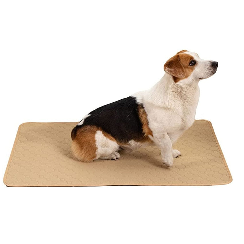 Dog Training Pad Washable Pet Pee Mat Super Absorbent Non-Slip Puppy Crate Mat Reusable Incontinence Pads for Dogs Cats