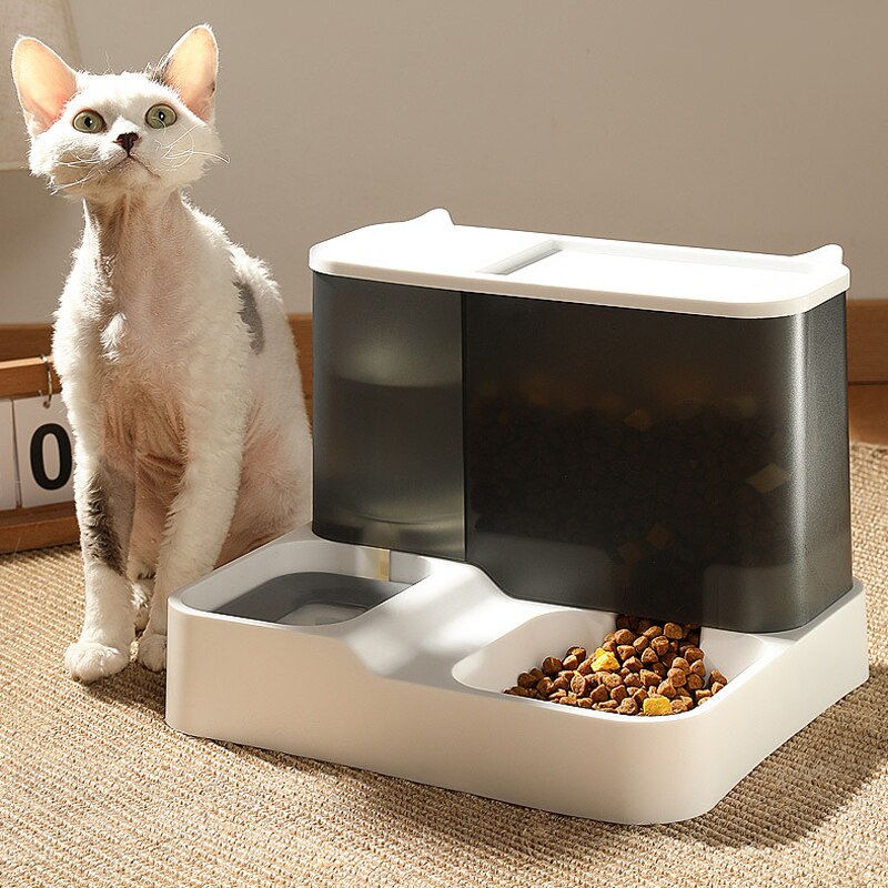 2 In 1 Large Capacity Cat Automatic Feeder with Food Storage Box Pet Cats Drinking Bowl Auto Water Dispenser Cats Supplies