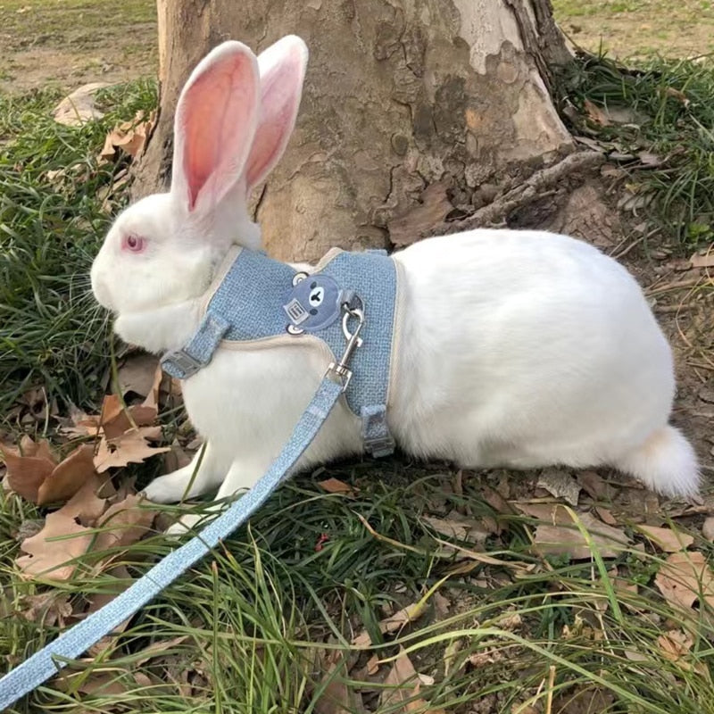 Cute Rabbit Harness and Leash Set Bunny Pet Accessories Vest Harnesses small pet Leashes for Outdoor Walking Pets Supplies