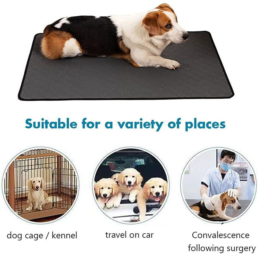 Dog Training Pad Washable Pet Pee Mat Super Absorbent Non-Slip Puppy Crate Mat Reusable Incontinence Pads for Dogs Cats